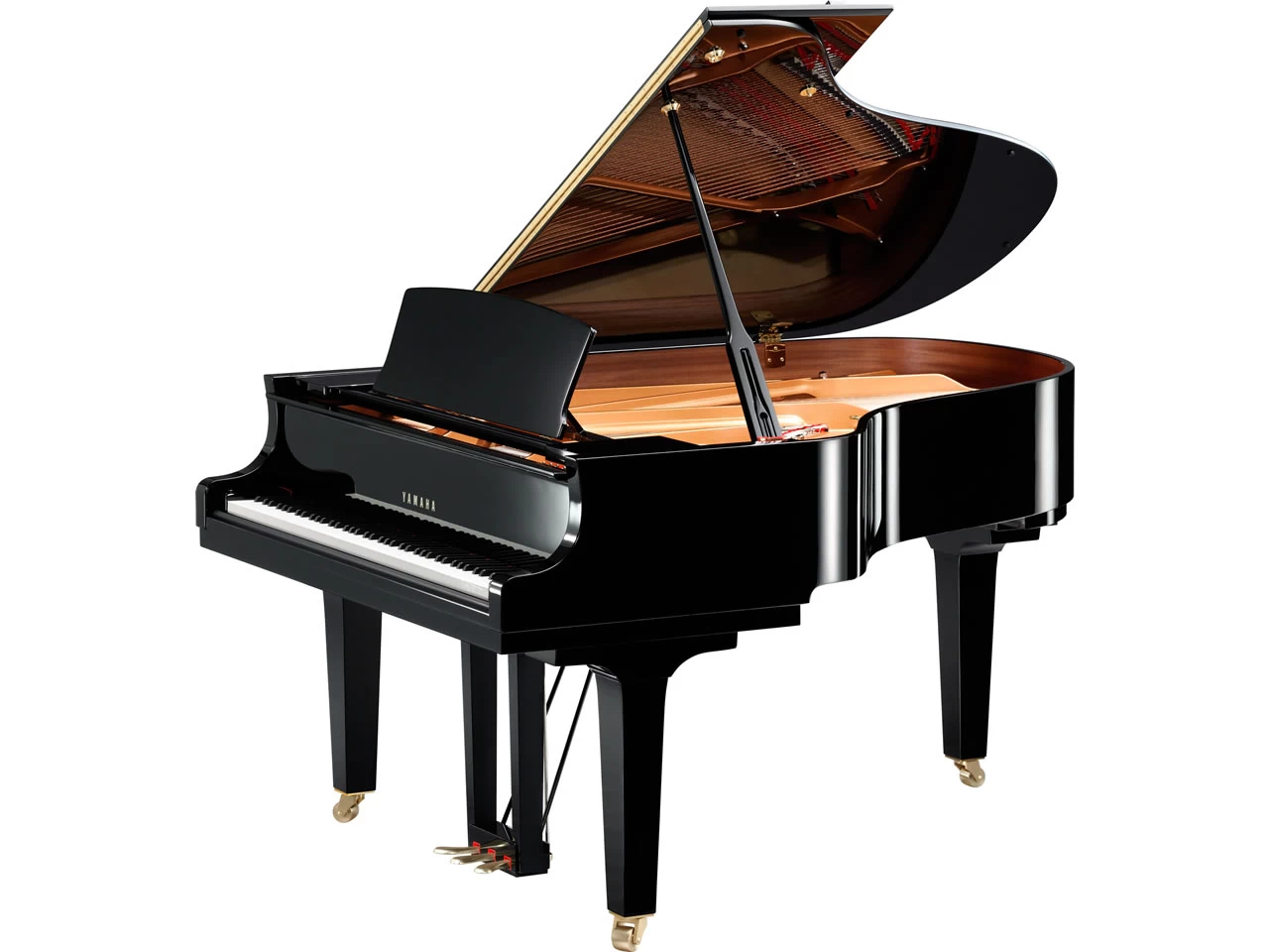 Musical Instruments